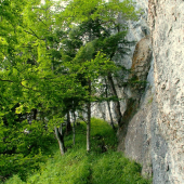 Pod stenou- Radovica