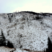 podvečer