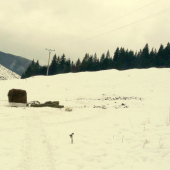 prikrmovanie