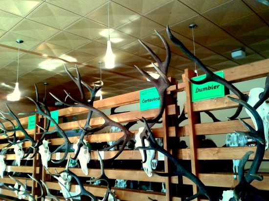 S chovateľskej L. Hrádok  2013