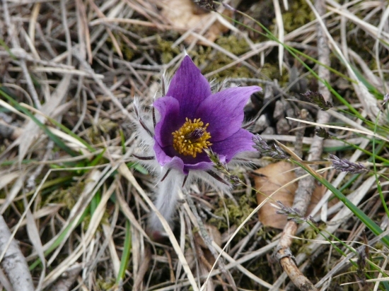 Príroda ukazuje svoju krásu