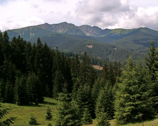 spomienka