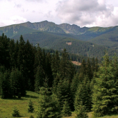 spomienka