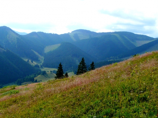Bocká dolina