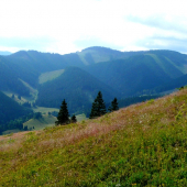 Bocká dolina