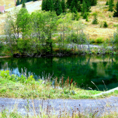 album -2008