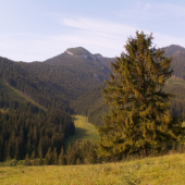 Michalovo- Liptov