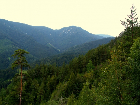 Cez Michalovo na Ohnište