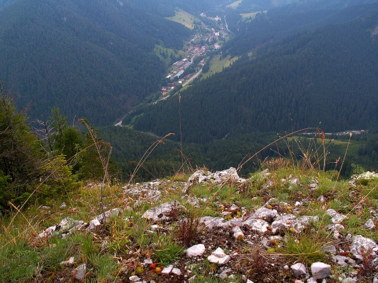 Malužinská dolina s Radovice