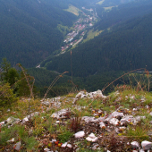 Malužinská dolina s Radovice