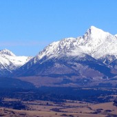 Kriváň
