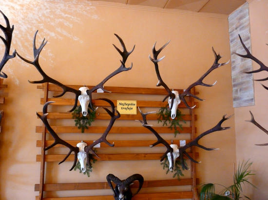 Chovateľská Liptovsky Hrádok