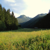 Liptov