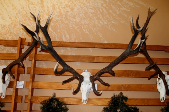 ešte jedno zlato s Lipt. Hrádku