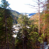 Začína sa oteplievať :)