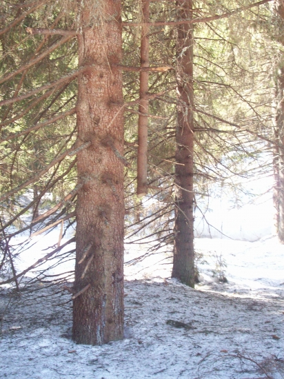 keď jeden je druhému oporou