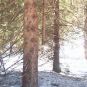 keď jeden je druhému oporou