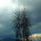 Len tak si tam sedkali