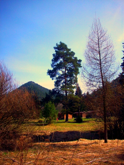 Na Borovej