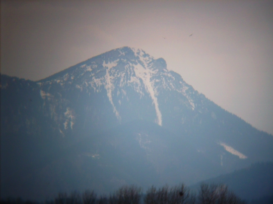 Choč