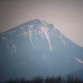 Choč