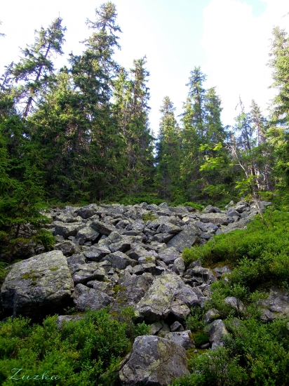 skalopád