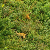 takto vedno večerali :)