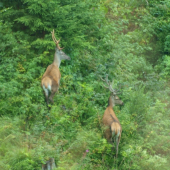 spolu