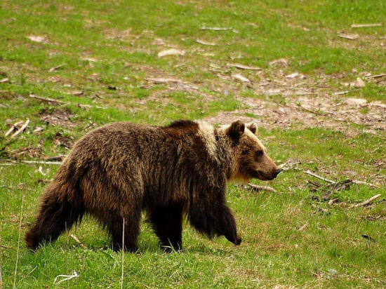 štrádujem si ako nič :)