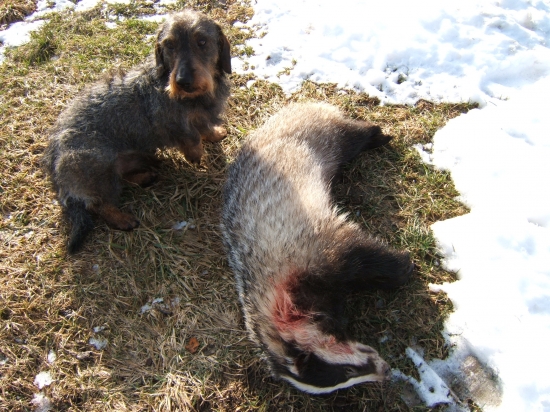 Úspěšné norování