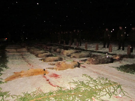 Vydařená naháňka