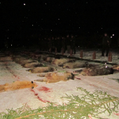 Vydařená naháňka