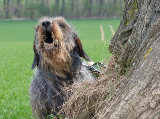 Momentka z norování