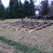 Úspěšná naháňka se slíděním