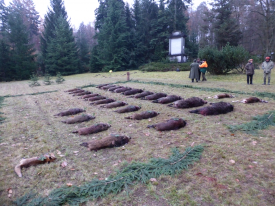 Naháňka se slíděním
