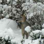 Na návšteve vo dvore