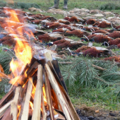 Výrad (bažantnica)