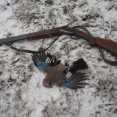 tlmenie premnoženej škodnej