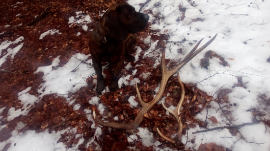 Starý, ale potešil...