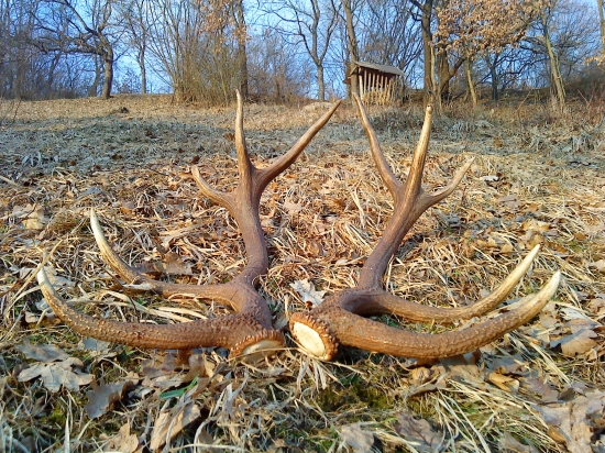 ked sa darí tak sa dari:D