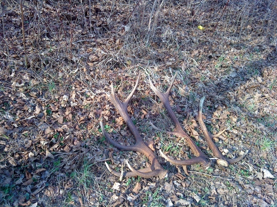 sobotnajši 12torak a tie dva dnešne