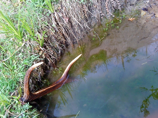 takto si na mna počkal....šestoračik