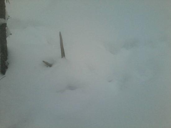 dneskajšia prechadzka :)