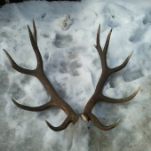 Už mám aj druhy  :)