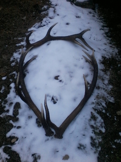 Velmi pekný víkend :)