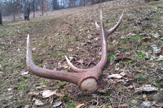 Dnešny 10to rák :)