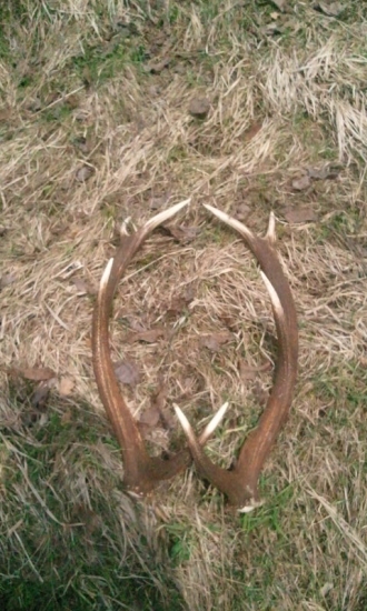 dnes som dohladal kamaratovi :)