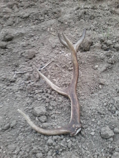 Stareho 10to ráka syn :D