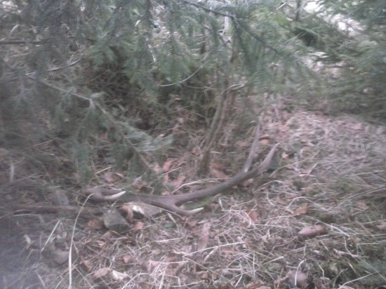 Takto si tam ležal :)