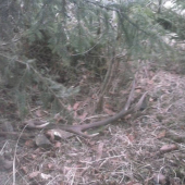 Takto si tam ležal :)